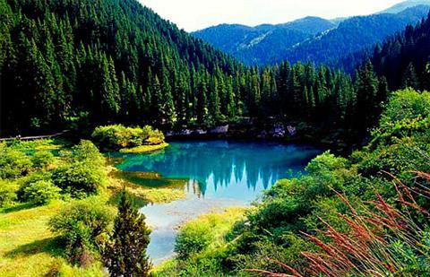 1607669877123328.jpg 吐鲁沟森林公园.jpg