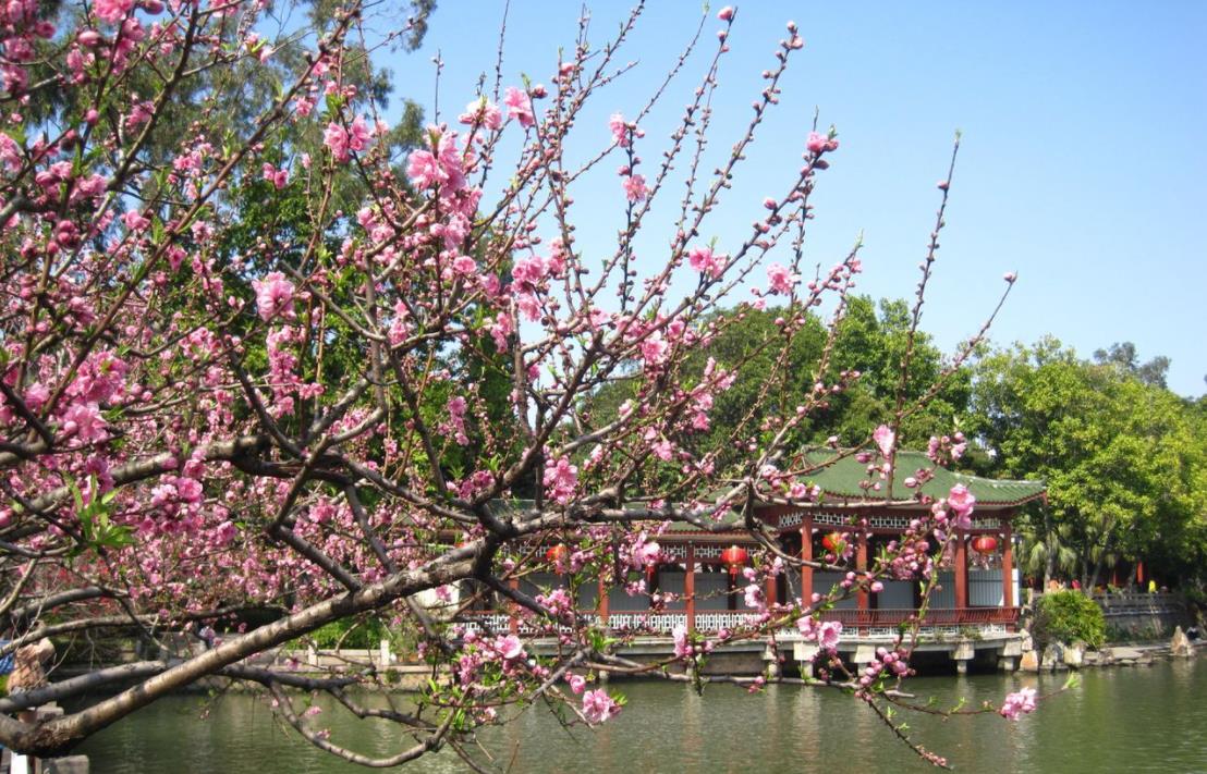 福州西湖公园.jpg